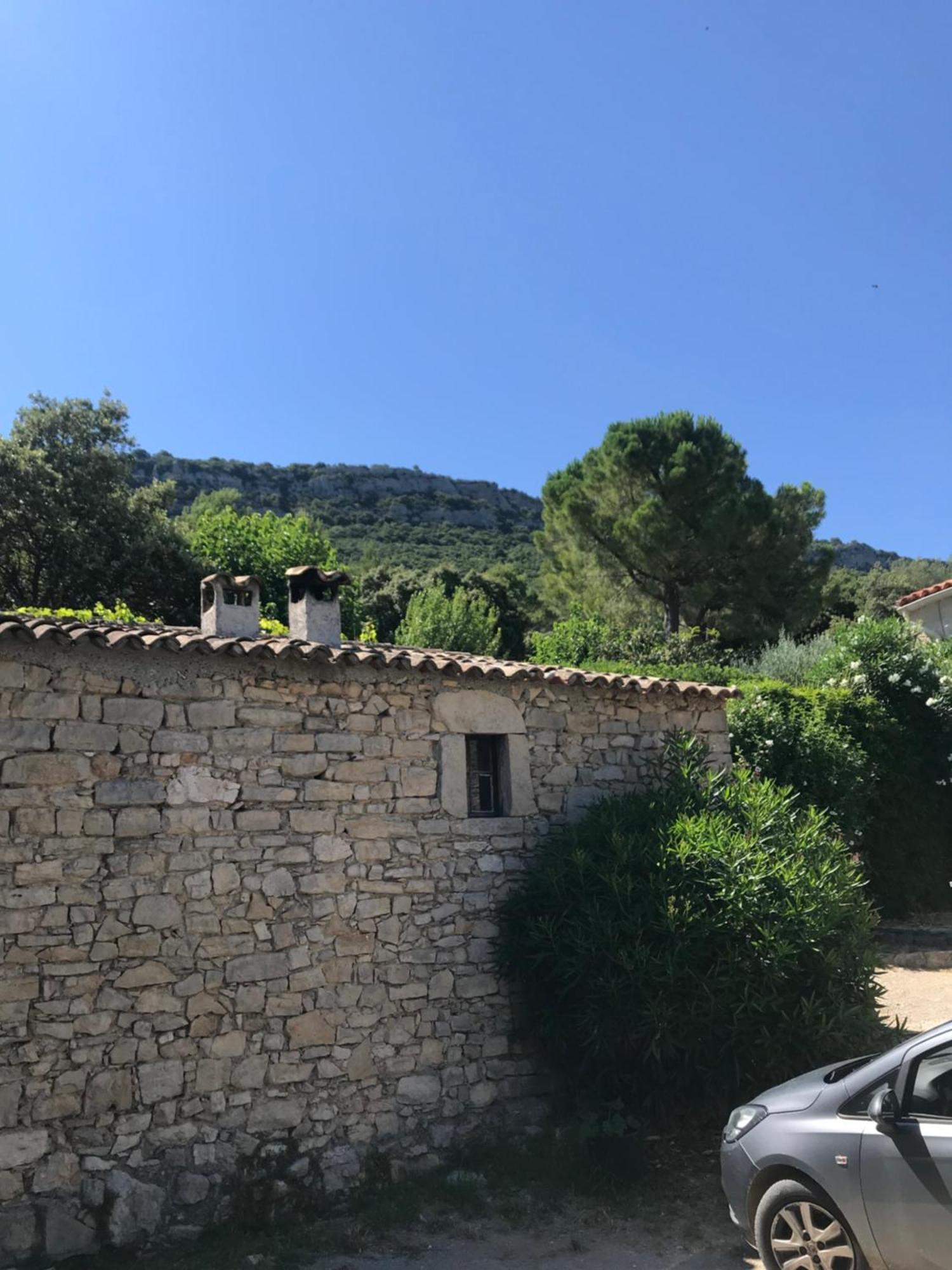 Apartment Pic St Loup *